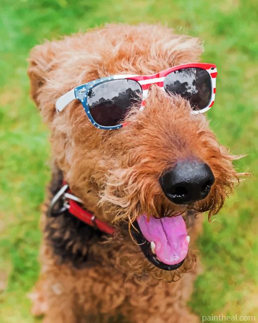 Stylish Airedale Terrier Painting By Numbers Kits