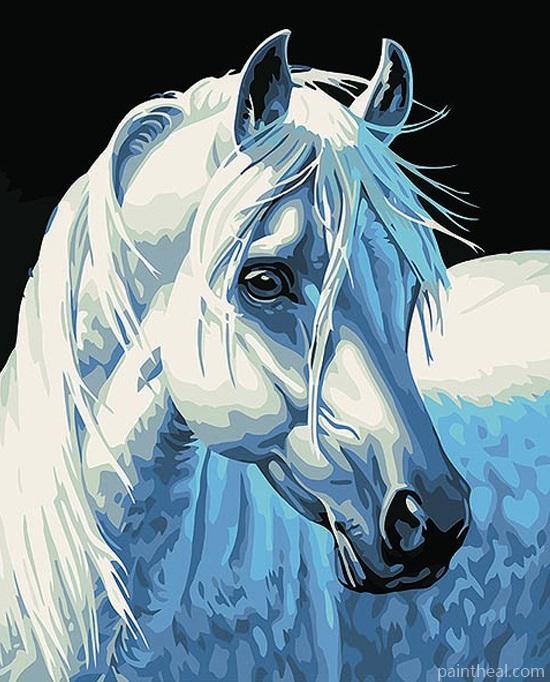 White Horse Portrait Painting By Numbers Kits