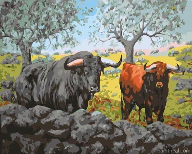 Ox Bull Painting By Numbers Kits