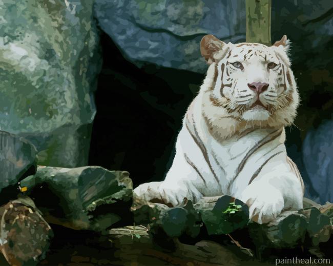 Big White Tiger Painting By Numbers Kits