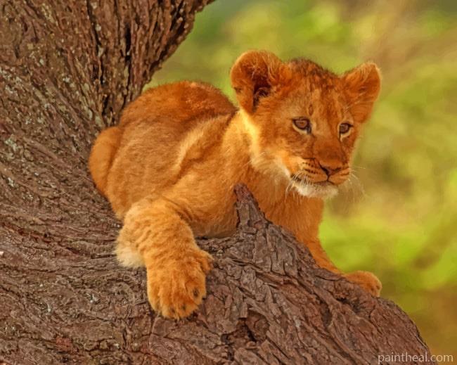 Wild Lion Cub Painting By Numbers Kits