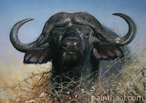 Black Buffalo Painting By Numbers Kits