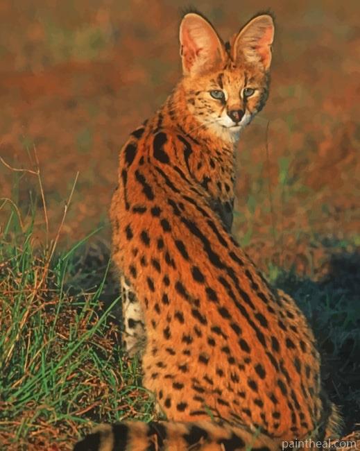 Cute Small Wild Cat Painting By Numbers Kits