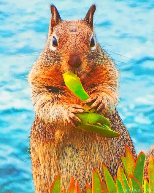 Squirrel Eating Leaves Painting By Numbers Kits