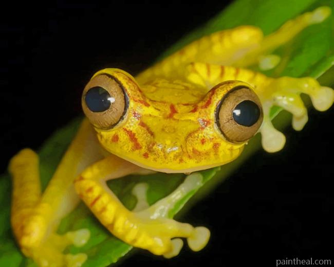 Yellow Frog On Green Leaf Plant Painting By Numbers Kits
