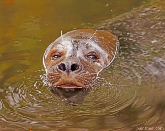 Sea Lion In Water Painting By Numbers Kits