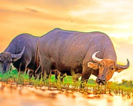 Asian Buffalo Painting By Numbers Kits