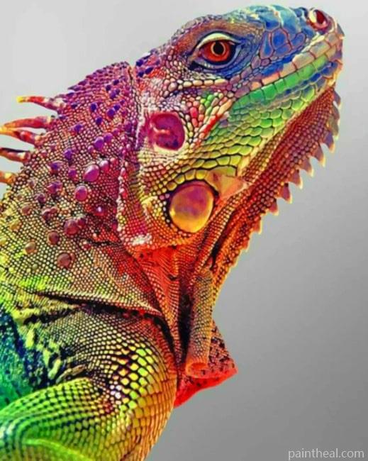 Common Agama Painting By Numbers Kits