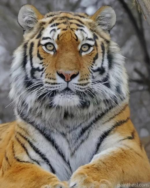 Majestic Tiger Animal Painting By Numbers Kits