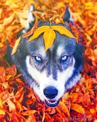 Husky In The Fall – 5D Diamond Painting Painting By Numbers Kits
