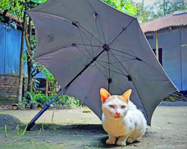 Cat Under Umbrella Painting By Numbers Kits