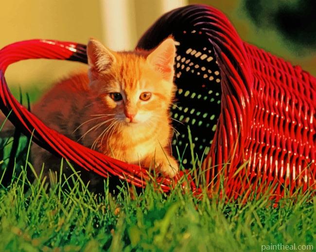 Cat In Basket Painting By Numbers Kits