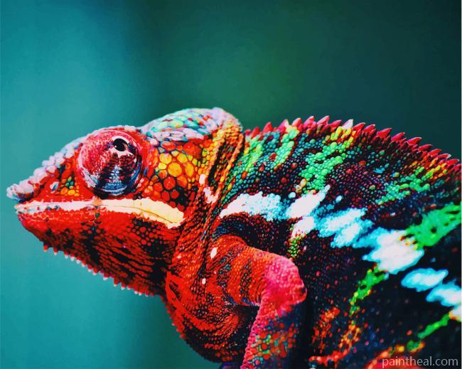 Multicolored Chameleon Painting By Numbers Kits