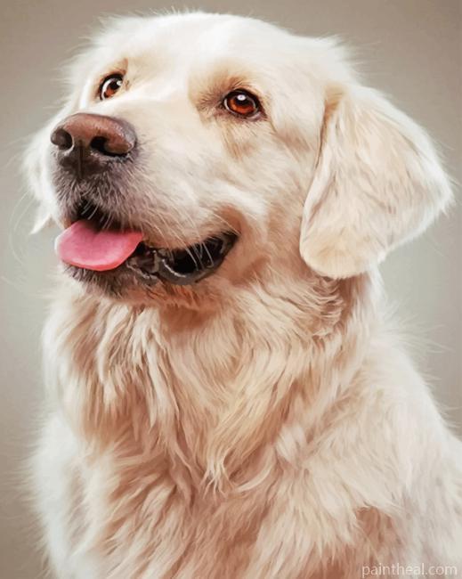 Golden Retriever Dog – 5D Diamond Painting Painting By Numbers Kits