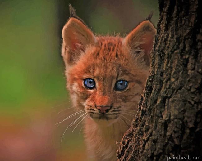 Forest Bobcat Cub Painting By Numbers Kits
