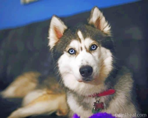 Siberian Husky – 5D Diamond Paintings Painting By Numbers Kits