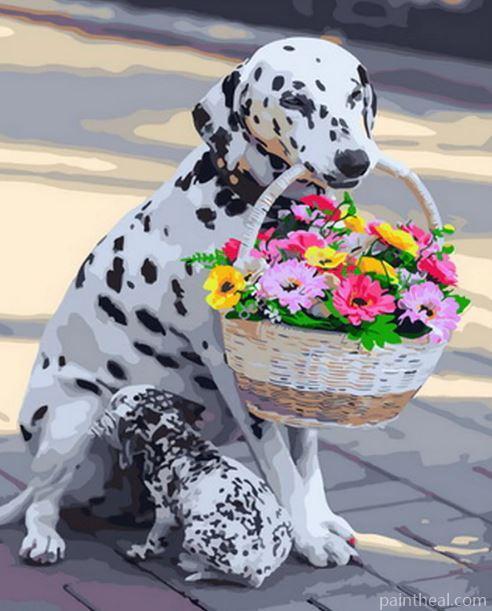 Dalmatian Dog With Flowers Basket Painting By Numbers Kits
