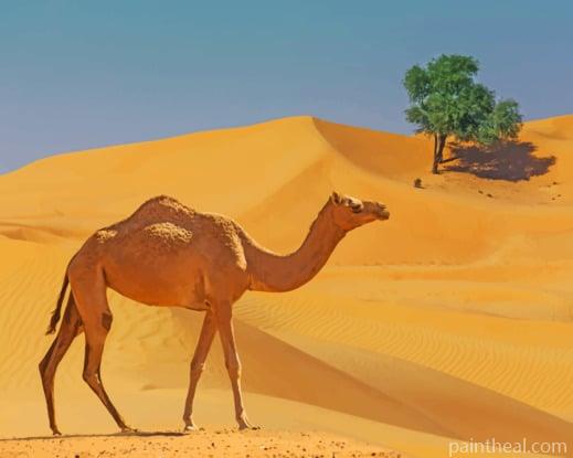 Camel In Desert Lands Painting By Numbers Kits
