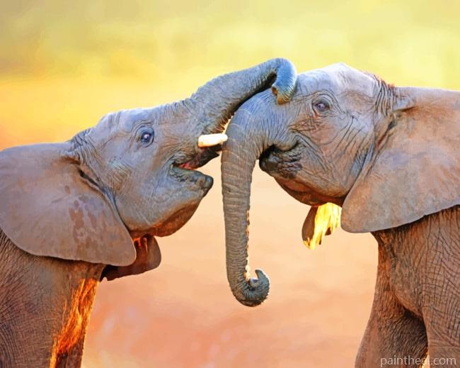 Playful Elephant Couple Painting By Numbers Kits