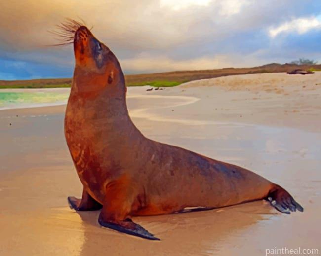 Brown Sea Lion Painting By Numbers Kits