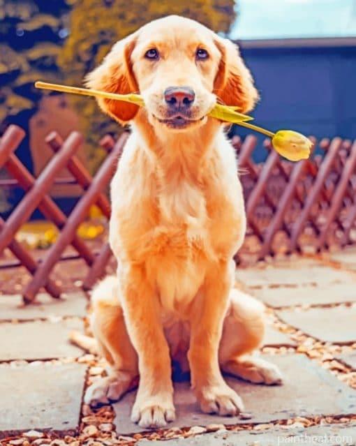 Labrador Dog Holding Flower Painting By Numbers Kits