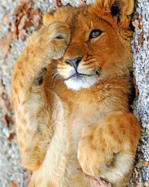 Cute Baby Lion Painting By Numbers Kits