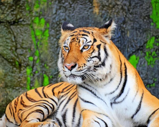 Lone Strong Tiger Painting By Numbers Kits