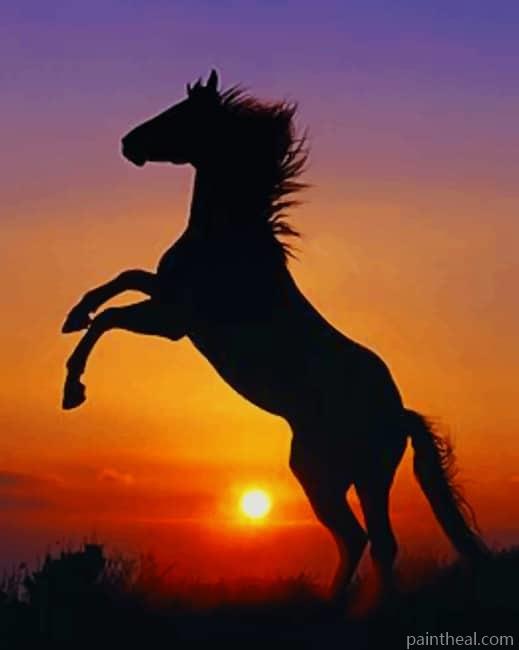 Horse At Sunset Painting By Numbers Kits