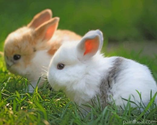 Furry Home Bunnies Painting By Numbers Kits