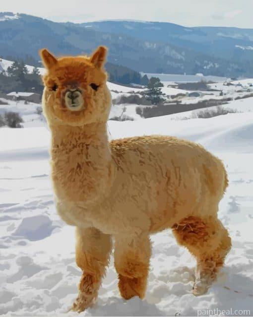 Fluffy Adorable Baby Alpaca Painting By Numbers Kits