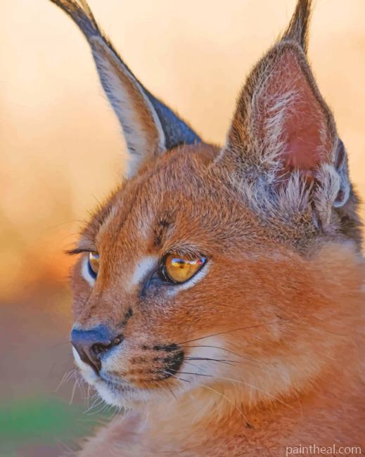 Caracal Lynx Painting By Numbers Kits