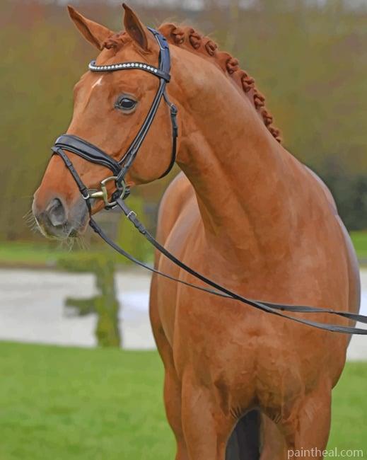 Warmblood Horse Painting By Numbers Kits