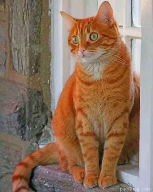 Brown Cat With Green Eyes Painting By Numbers Kits