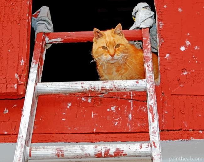 Cat With Ladder Painting By Numbers Kits