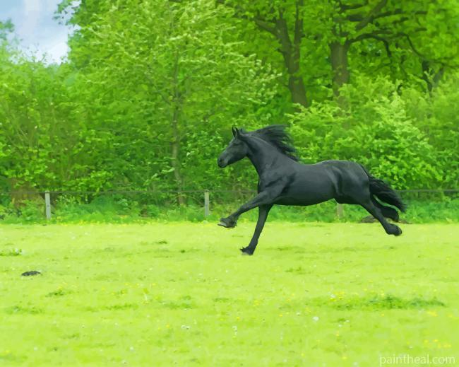 Black Horse Running On Grass Field Painting By Numbers Kits