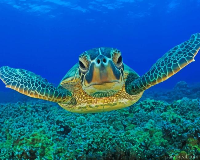 Under Water Swimming Turtle Painting By Numbers Kits