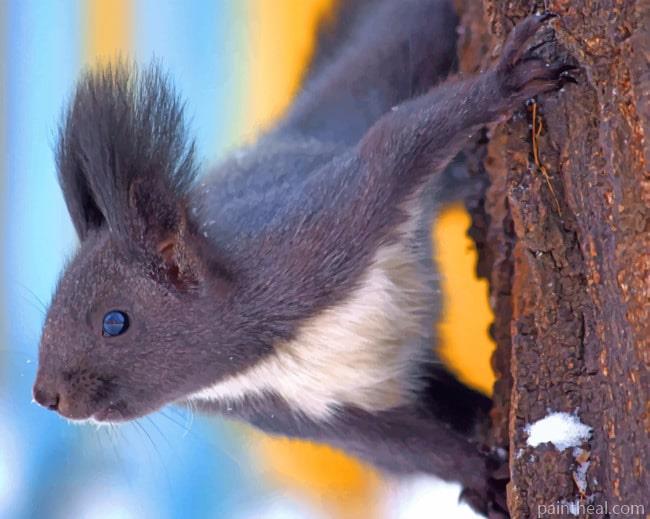 Black Bark Squirrel Painting By Numbers Kits