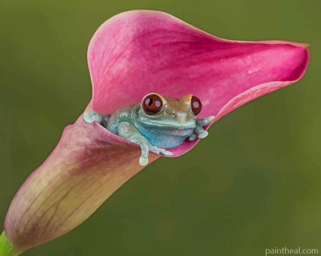 Green Tree Frog On A Pink Calla Lily Painting By Numbers Kits