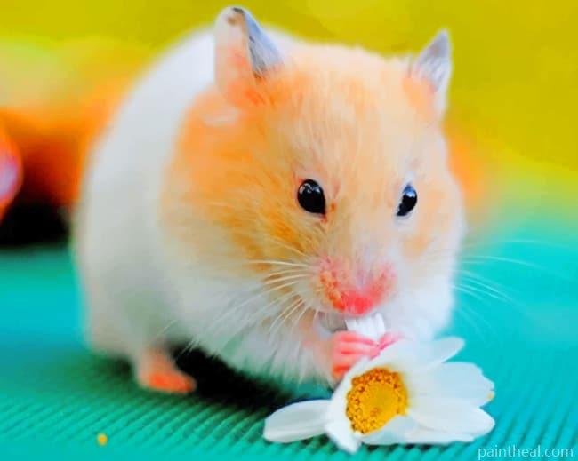Brown Hamster Eating Flower Painting By Numbers Kits