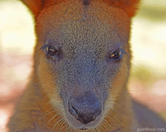 Australian Kangaroo Painting By Numbers Kits