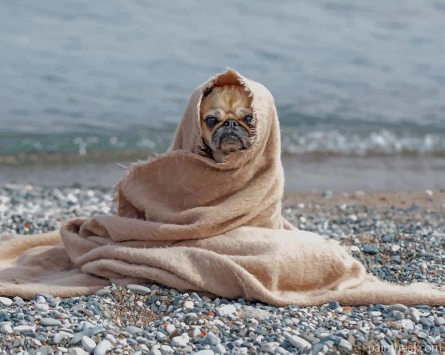 Pug Dog In Blanket Painting By Numbers Kits