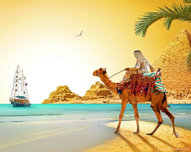 Egypt Desert Camel Painting By Numbers Kits
