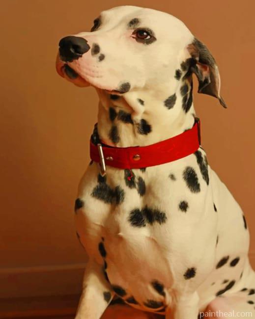 Dalmatian Breed Dog Painting By Numbers Kits