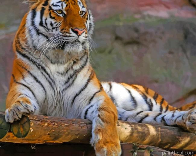Big Tiger Laying Painting By Numbers Kits