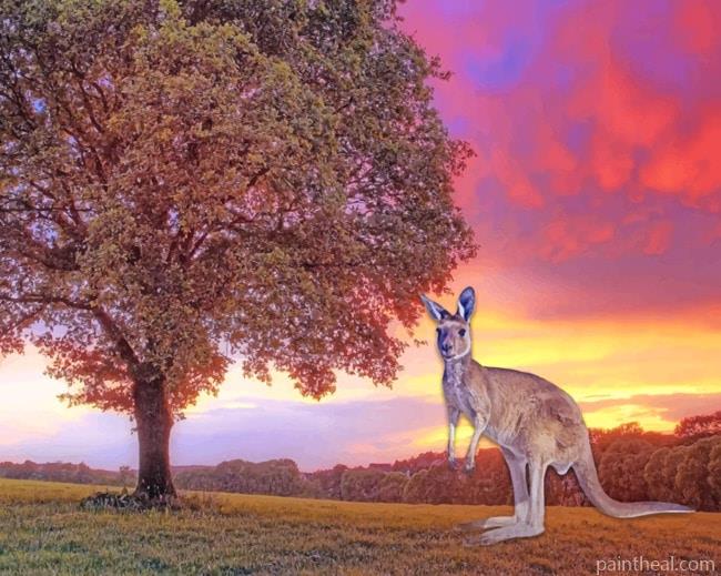 Kangaroo During Sunset Painting By Numbers Kits