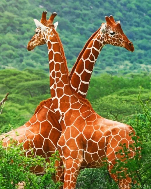 Giraffes In The Jungle Painting By Numbers Kits
