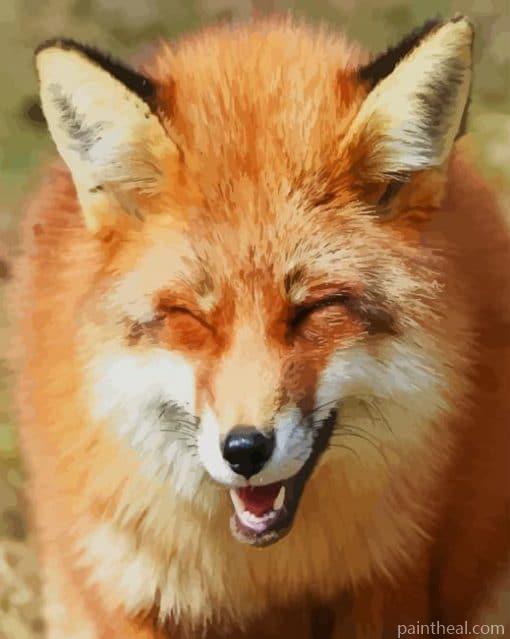 Funny Fox Painting By Numbers Kits