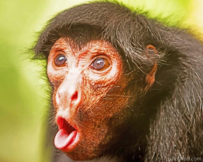 Black Chimpanzee Animal Painting By Numbers Kits