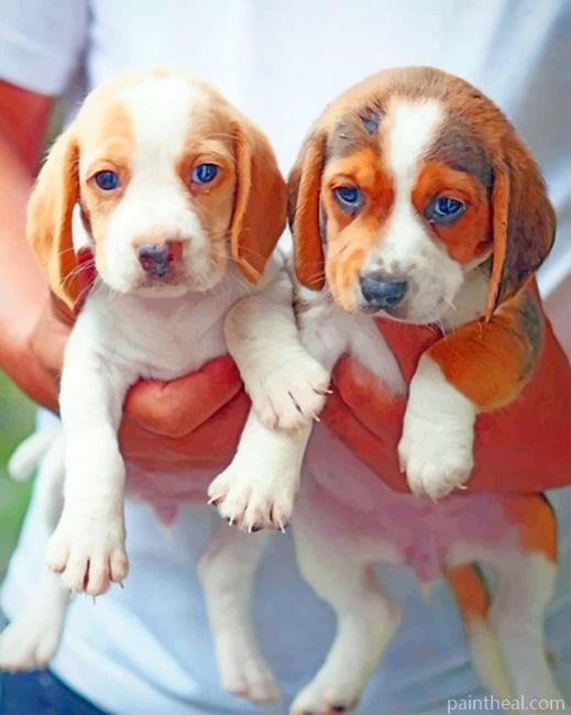 Beagle Babies Painting By Numbers Kits