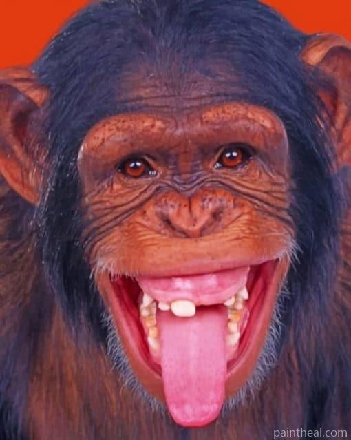 Funny Monkey Painting By Numbers Kits